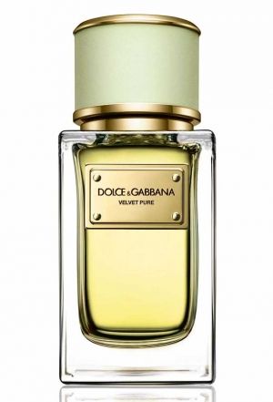 Dolce & Gabbana Velvet Pure парфюмированная вода